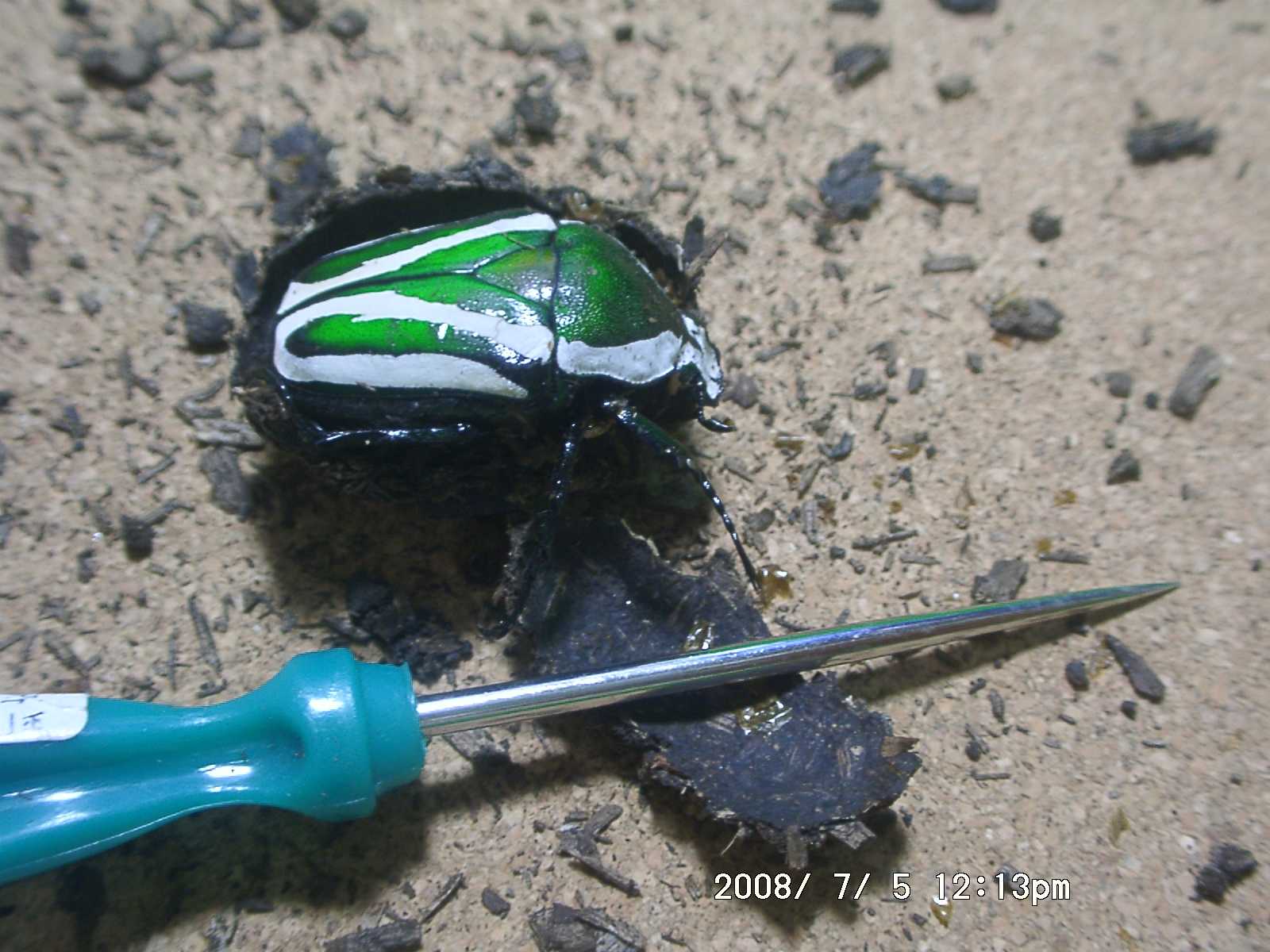 按此在新視窗瀏覽圖片