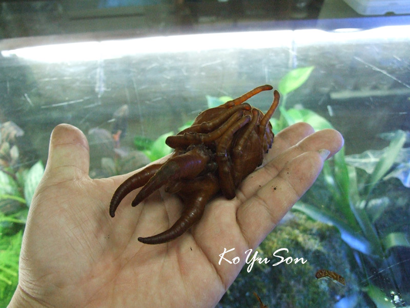 按此在新視窗瀏覽圖片