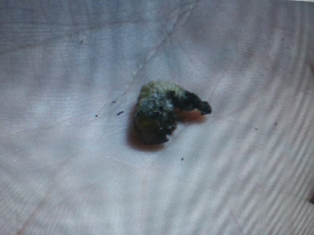 «ö¦¹¦b·sµøµ¡ÂsÄý¹Ï¤ù