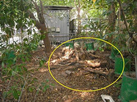 按此在新視窗瀏覽圖片