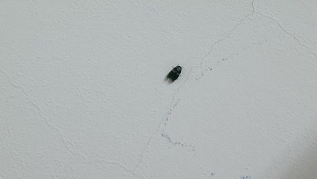 «ö¦¹¦b·sµøµ¡ÂsÄý¹Ï¤ù