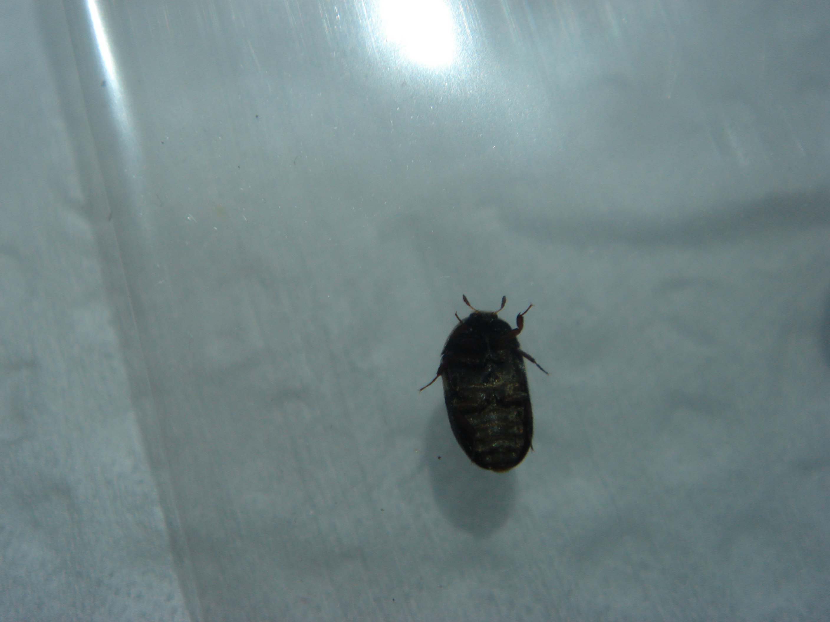 «ö¦¹¦b·sµøµ¡ÂsÄý¹Ï¤ù