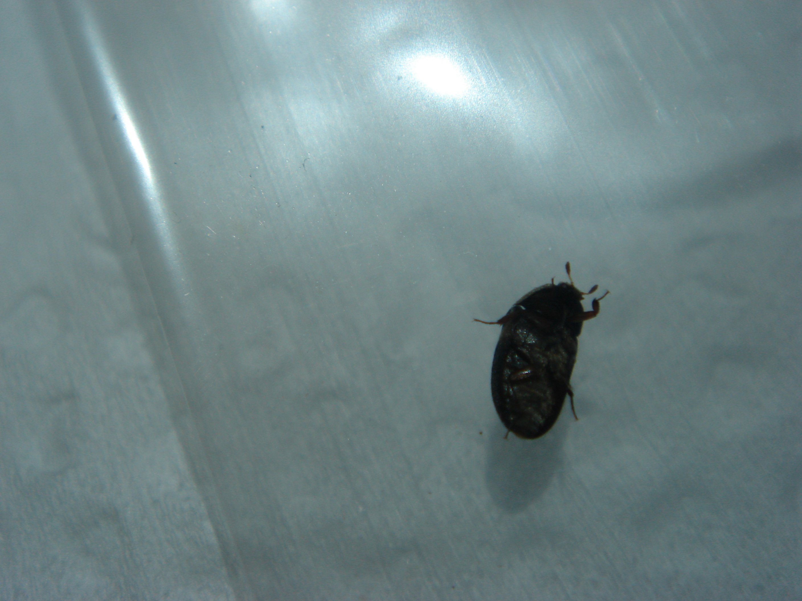 «ö¦¹¦b·sµøµ¡ÂsÄý¹Ï¤ù