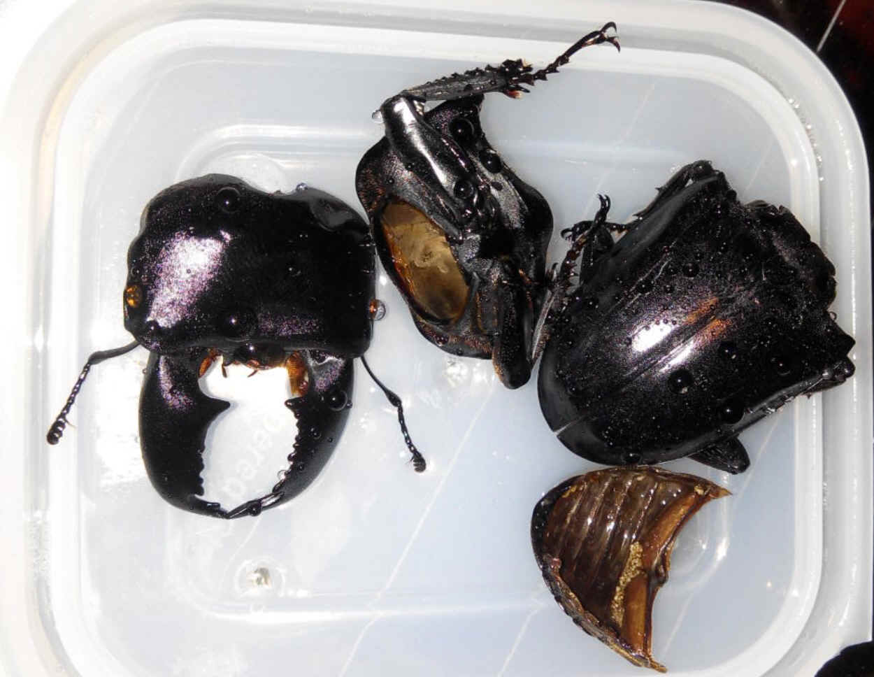 按此在新視窗瀏覽圖片