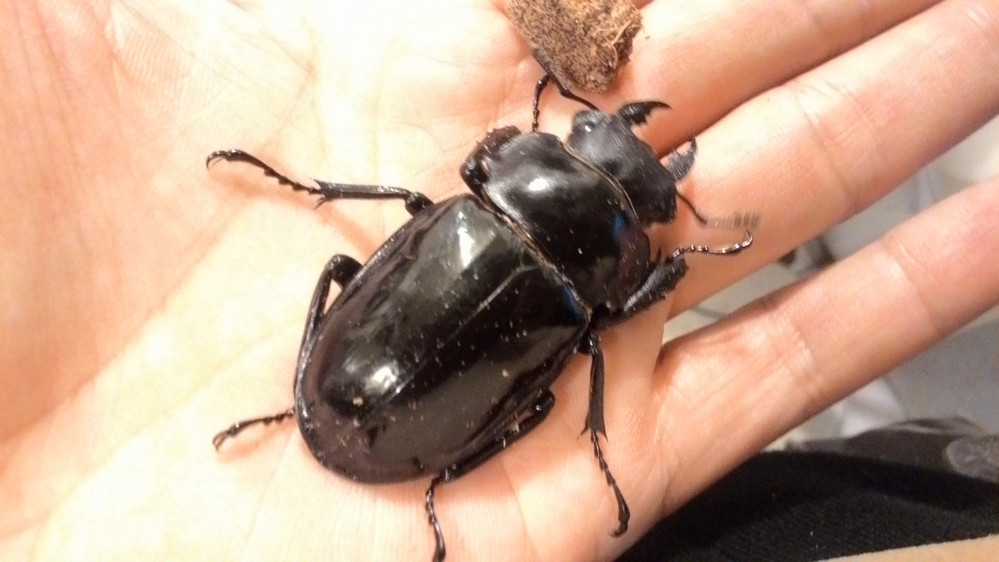 按此在新視窗瀏覽圖片