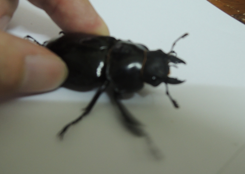 按此在新視窗瀏覽圖片