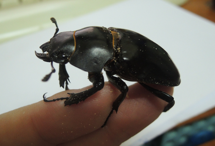 按此在新視窗瀏覽圖片