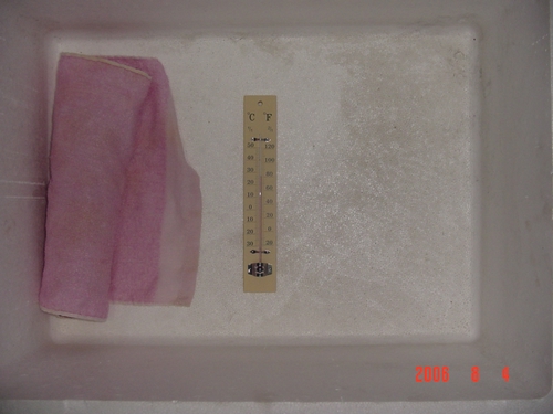 «ö¦¹¦b·sµøµ¡ÂsÄý¹Ï¤ù