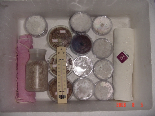 «ö¦¹¦b·sµøµ¡ÂsÄý¹Ï¤ù