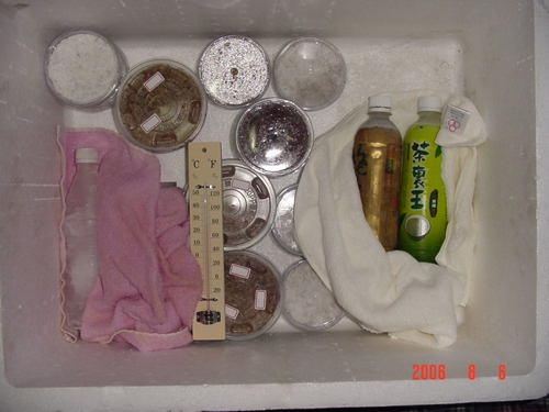 «ö¦¹¦b·sµøµ¡ÂsÄý¹Ï¤ù