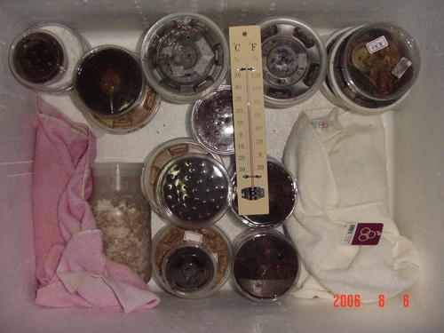 «ö¦¹¦b·sµøµ¡ÂsÄý¹Ï¤ù