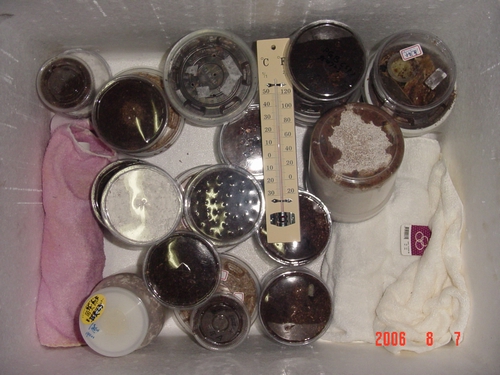 «ö¦¹¦b·sµøµ¡ÂsÄý¹Ï¤ù