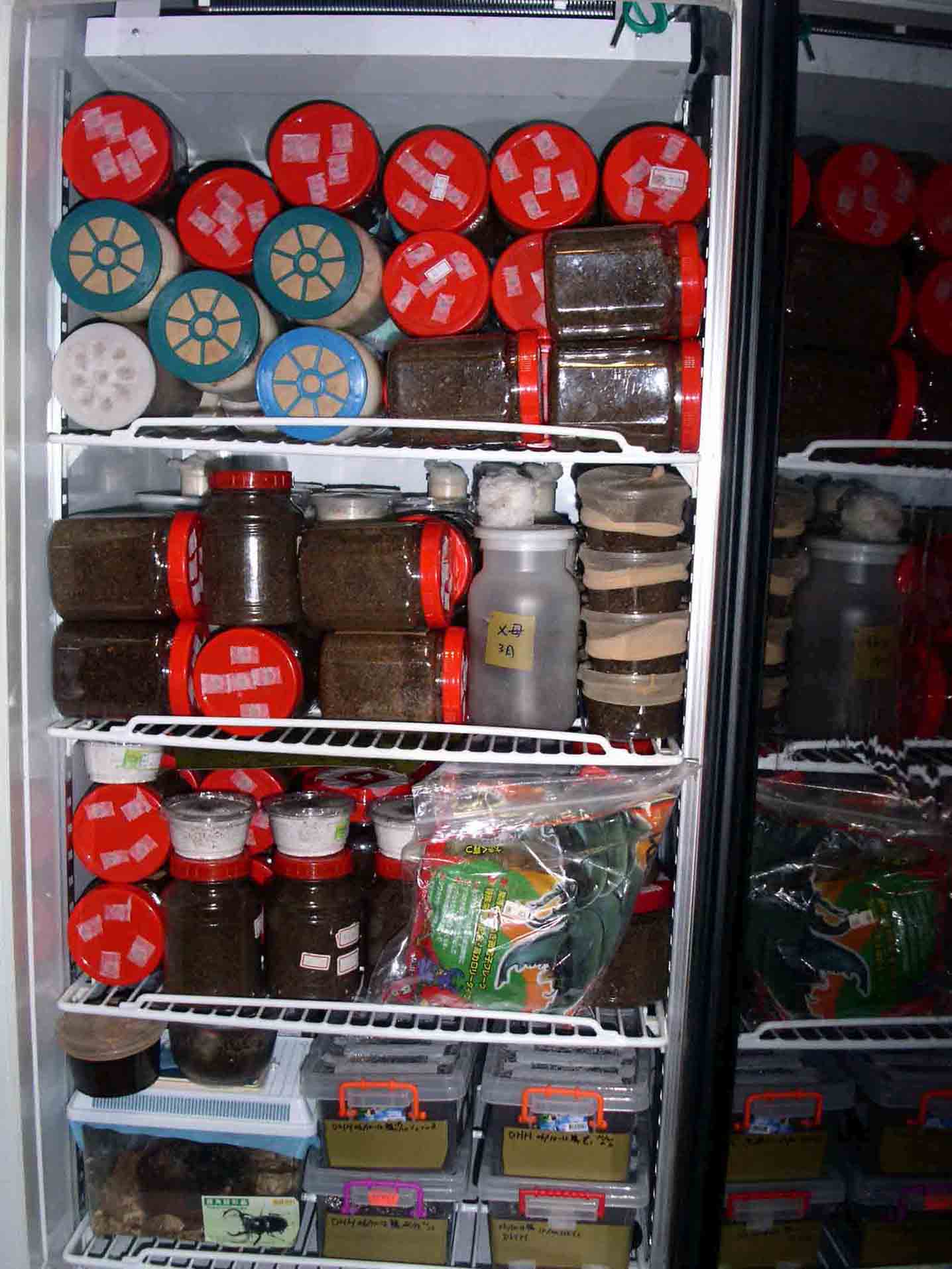 «ö¦¹¦b·sµøµ¡ÂsÄý¹Ï¤ù