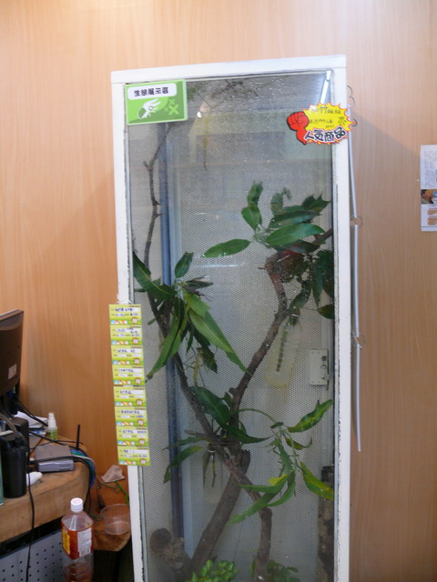 按此在新視窗瀏覽圖片