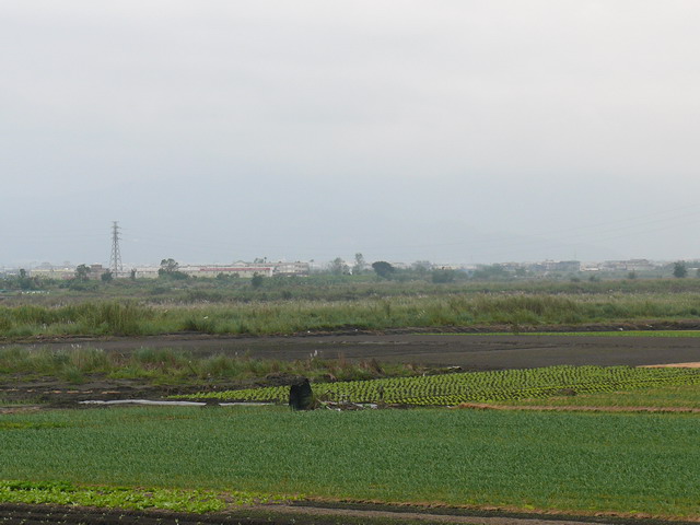 按此在新視窗瀏覽圖片