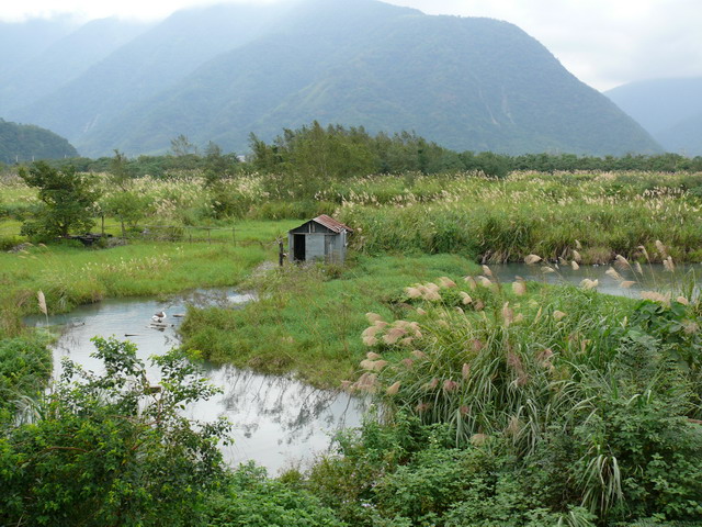 按此在新視窗瀏覽圖片
