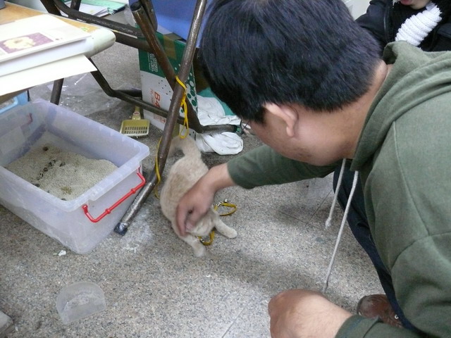 按此在新視窗瀏覽圖片