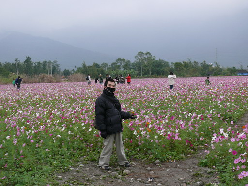 按此在新視窗瀏覽圖片