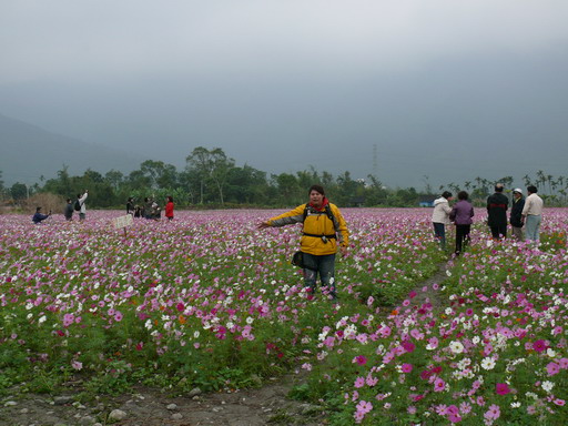 按此在新視窗瀏覽圖片