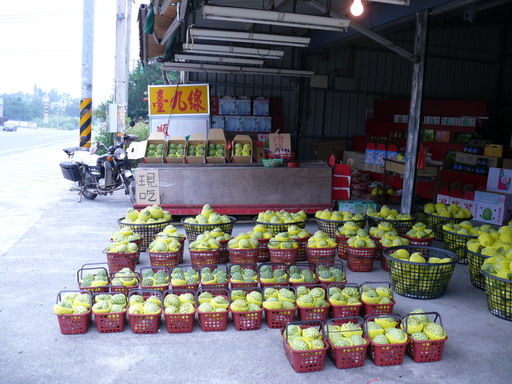 按此在新視窗瀏覽圖片