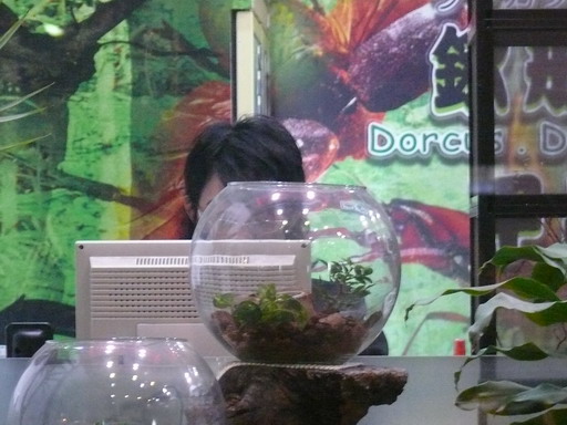 按此在新視窗瀏覽圖片