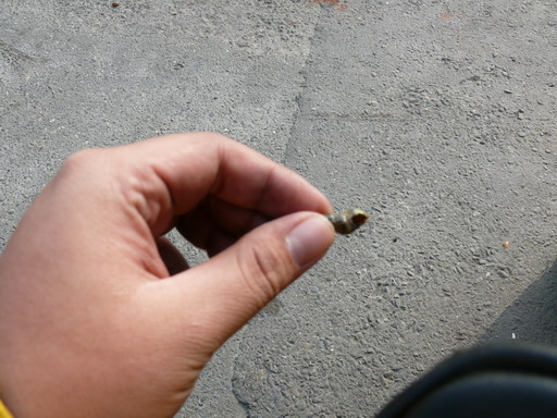 按此在新視窗瀏覽圖片