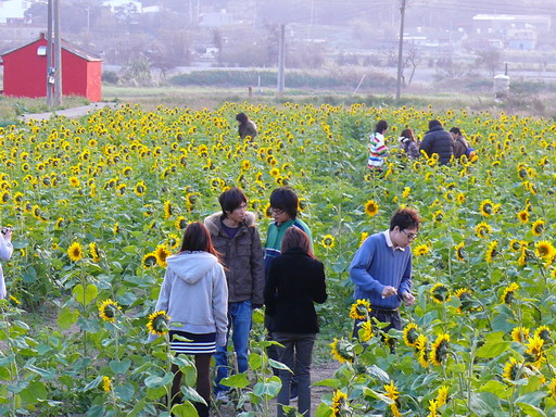 按此在新視窗瀏覽圖片