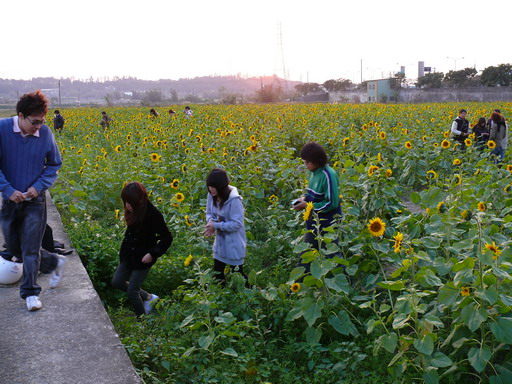 按此在新視窗瀏覽圖片