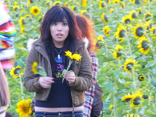 按此在新視窗瀏覽圖片