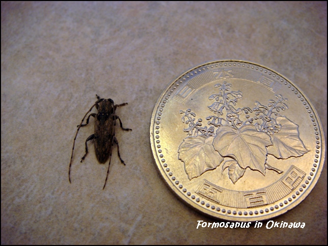 «ö¦¹¦b·sµøµ¡ÂsÄý¹Ï¤ù