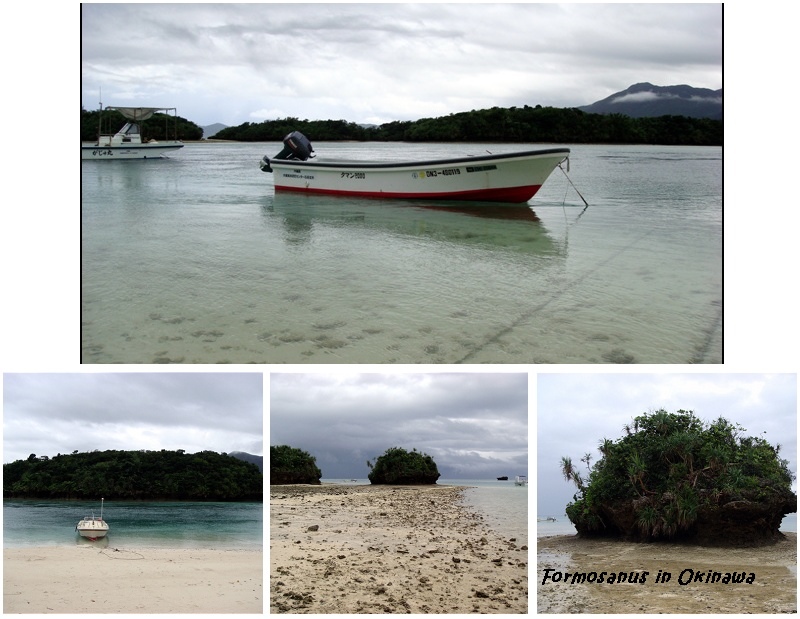 «ö¦¹¦b·sµøµ¡ÂsÄý¹Ï¤ù