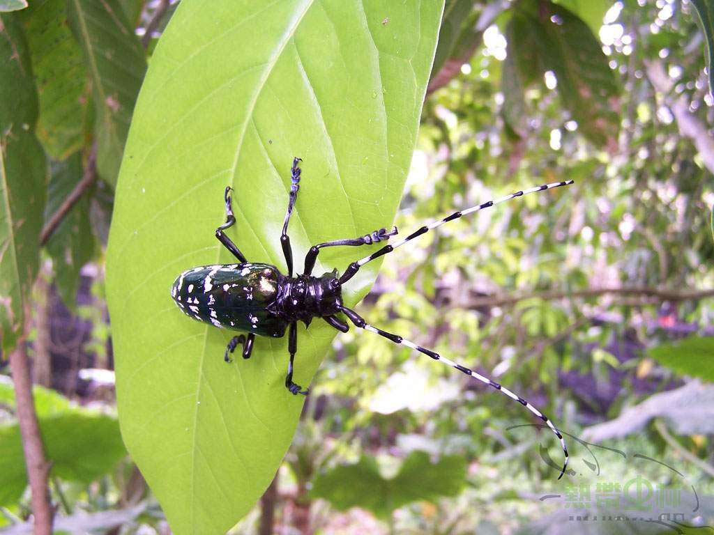 按此在新視窗瀏覽圖片