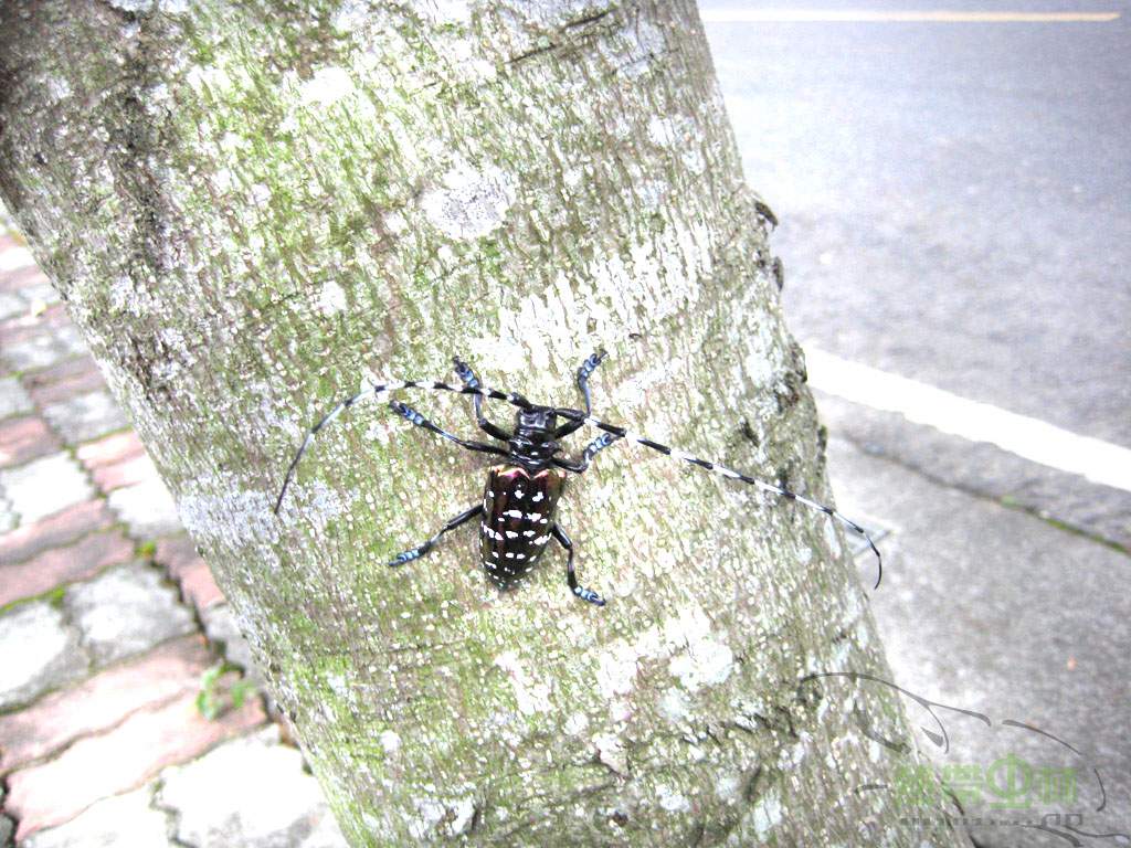 按此在新視窗瀏覽圖片