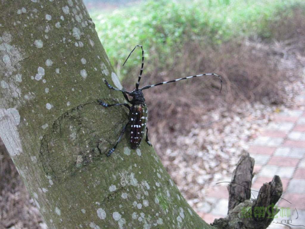 按此在新視窗瀏覽圖片