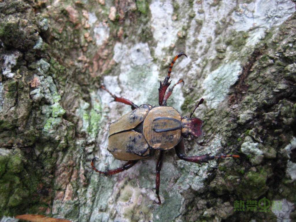 按此在新視窗瀏覽圖片