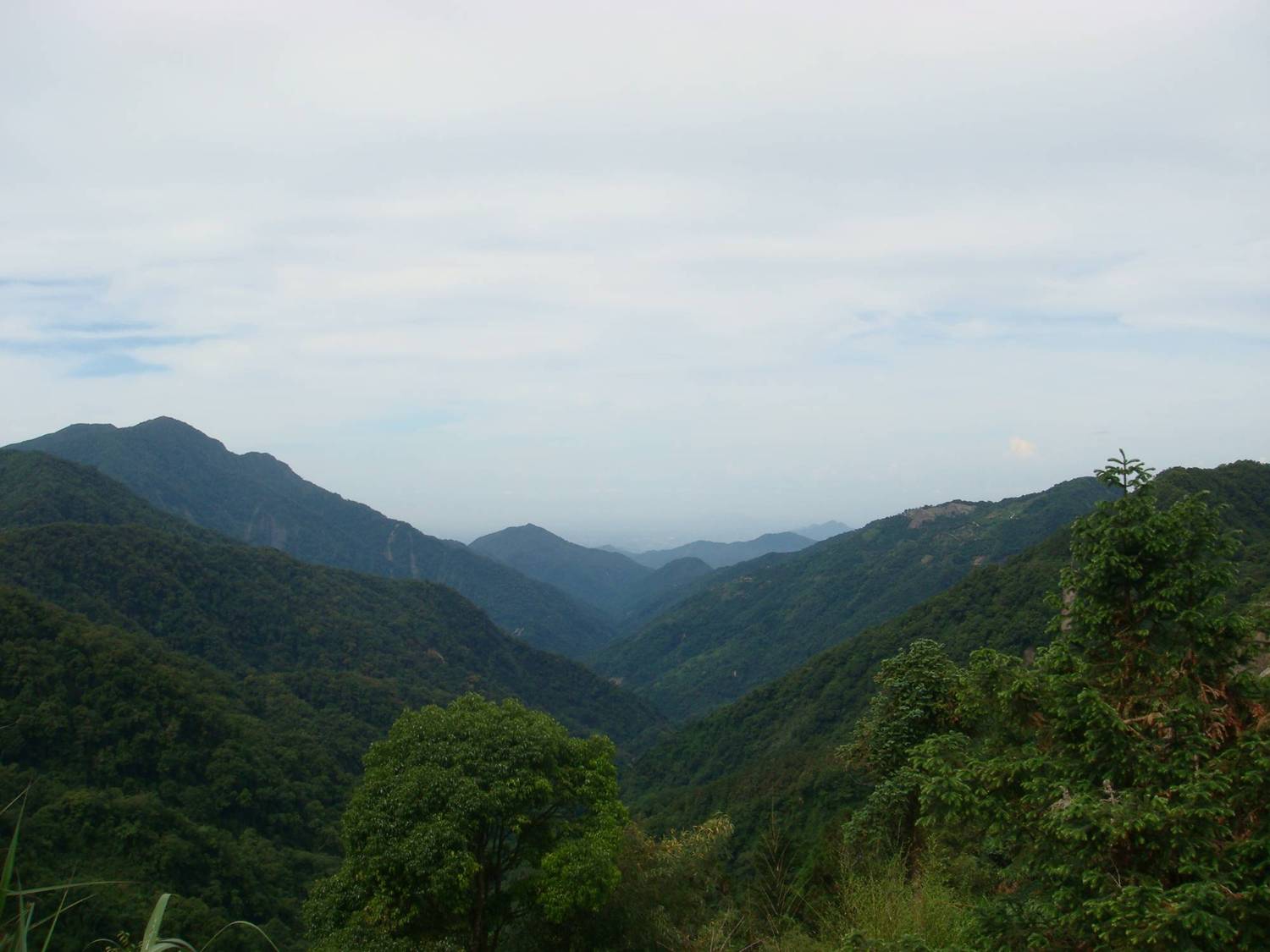 按此在新視窗瀏覽圖片