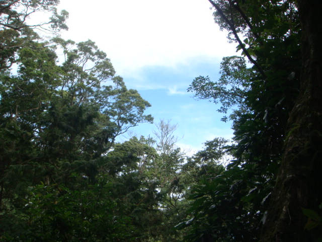 按此在新視窗瀏覽圖片