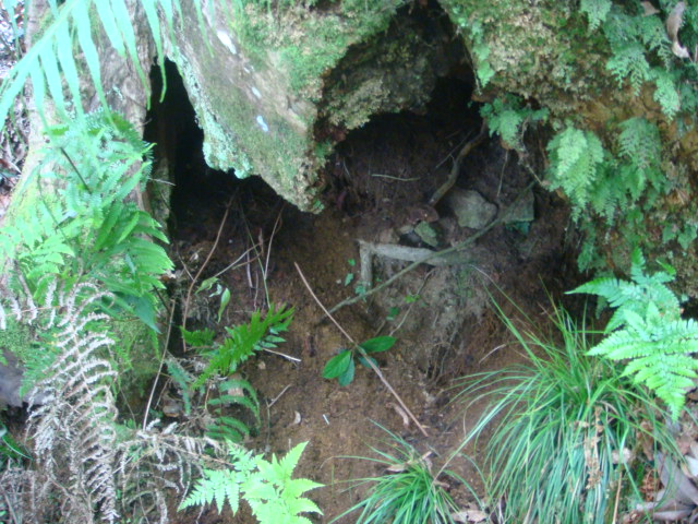 按此在新視窗瀏覽圖片