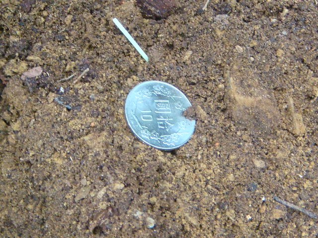 按此在新視窗瀏覽圖片