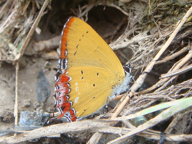 按此在新視窗瀏覽圖片