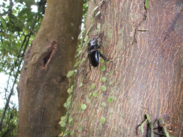 按此在新視窗瀏覽圖片