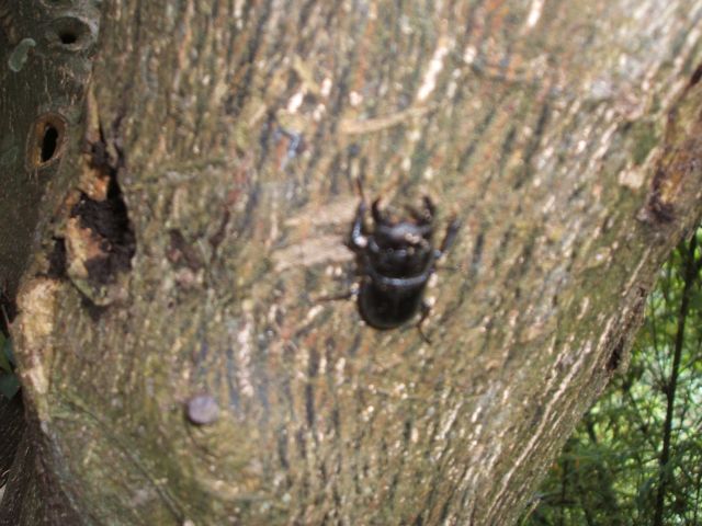 按此在新視窗瀏覽圖片