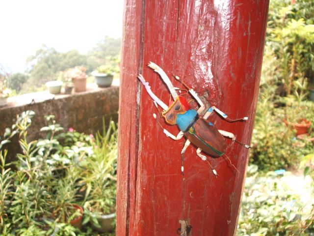 按此在新視窗瀏覽圖片