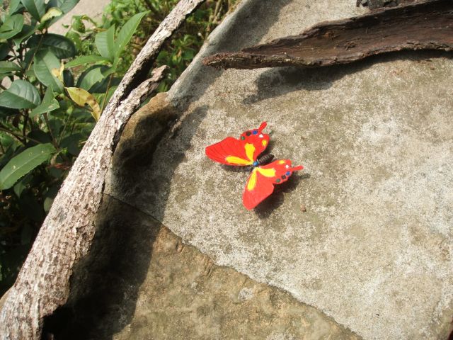 按此在新視窗瀏覽圖片