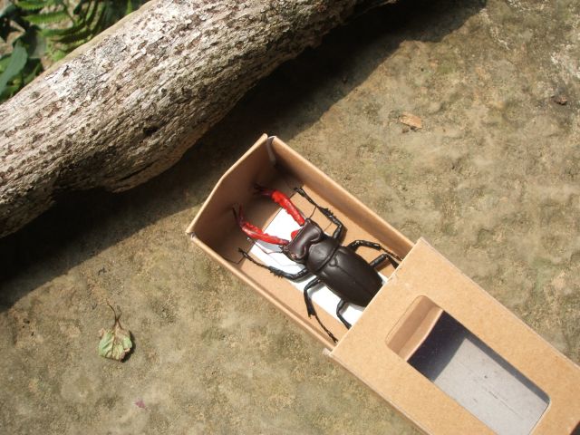 按此在新視窗瀏覽圖片