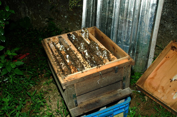 «ö¦¹¦b·sµøµ¡ÂsÄý¹Ï¤ù