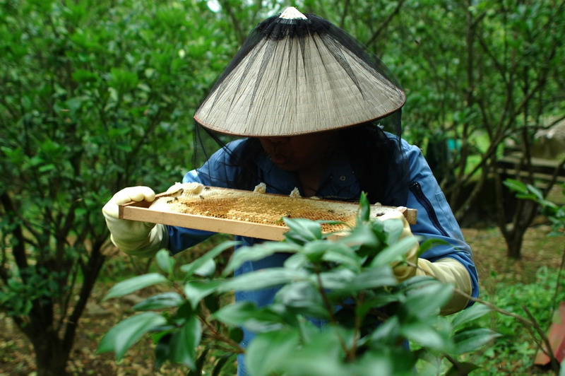 «ö¦¹¦b·sµøµ¡ÂsÄý¹Ï¤ù