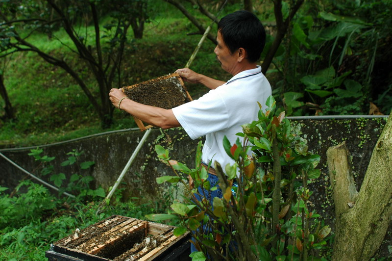 «ö¦¹¦b·sµøµ¡ÂsÄý¹Ï¤ù