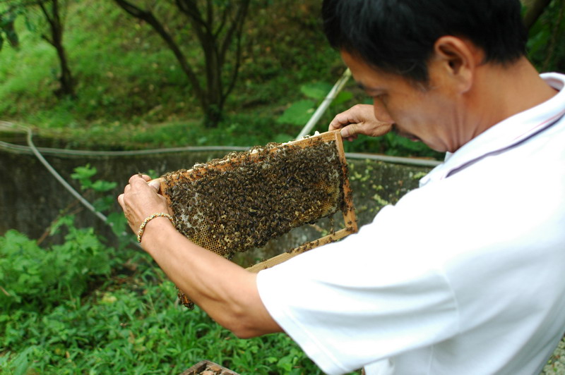 «ö¦¹¦b·sµøµ¡ÂsÄý¹Ï¤ù