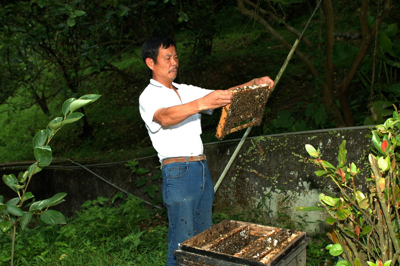 «ö¦¹¦b·sµøµ¡ÂsÄý¹Ï¤ù